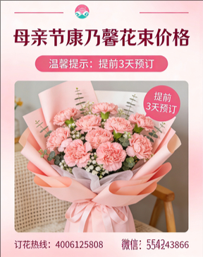 伊春五营区花店母亲节康乃馨花束