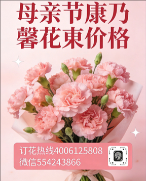 伊春五营区花店母亲节康乃馨花束